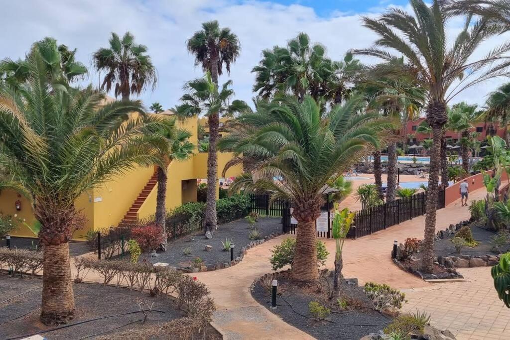 Appartamento Bouganville Con Terrazza E Piscina Corralejo Exteriér fotografie