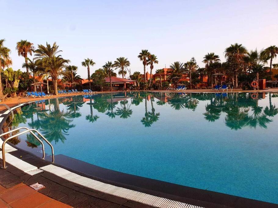 Appartamento Bouganville Con Terrazza E Piscina Corralejo Exteriér fotografie