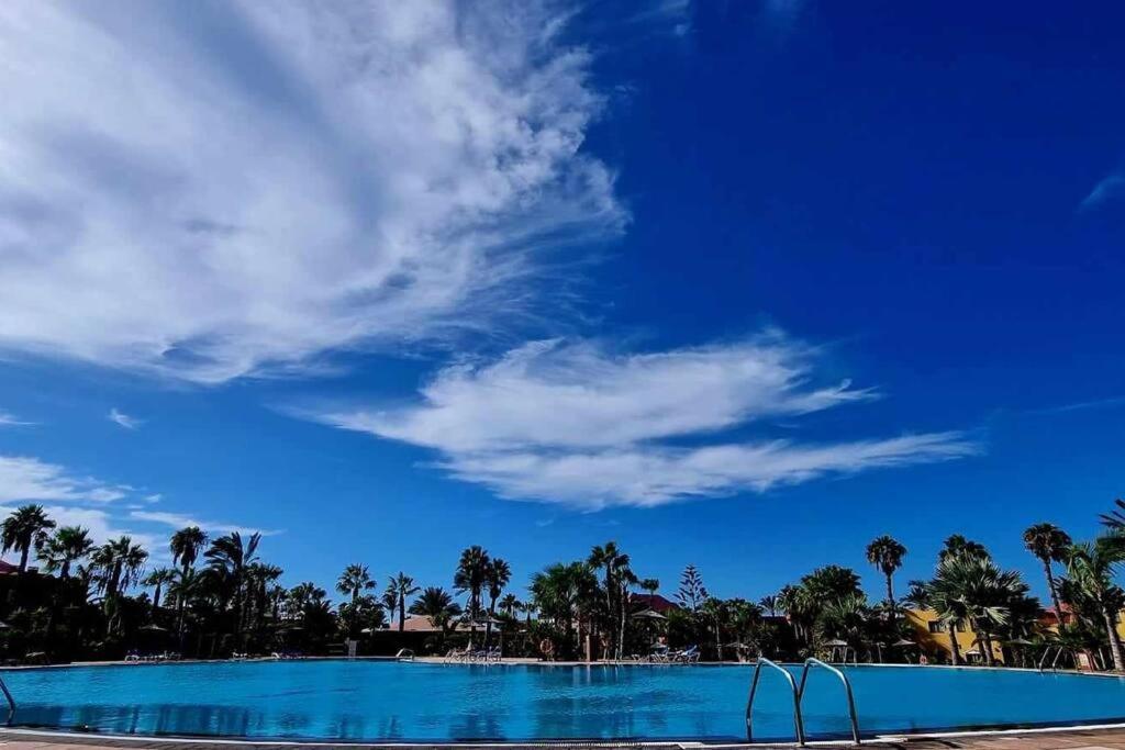 Appartamento Bouganville Con Terrazza E Piscina Corralejo Exteriér fotografie